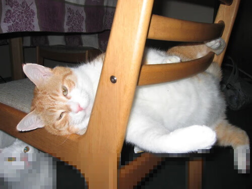 运动装备研发创新计划,运动装备研发创新计划怎么写