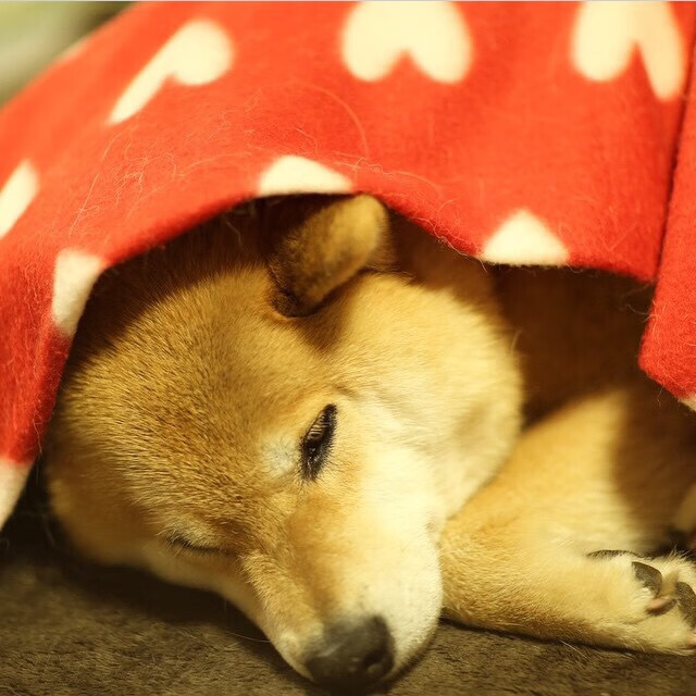 数据显示：划水对称性优于以往，网络词汇划水什么意思