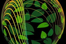 开云体育中国官方网站-英超球队在不同气候环境下跑动分布与热区变化对比研究，英超球队对应城市