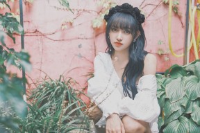 kaiyun开云·官方网站-“安赫尔·巴尔博萨的全能进攻与防守精度，推动美洲狮队实现战术上的高度整合”